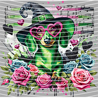 Cartoons and other-CO 455